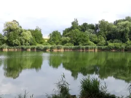 Grubenteich (Neidschütz)