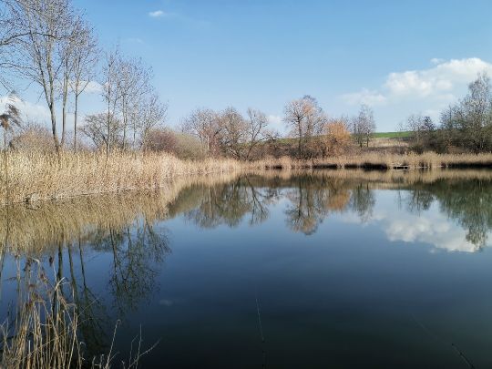 Grubenteich (Neidschütz)-2