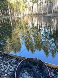 Angel-Oase Windhagen-1