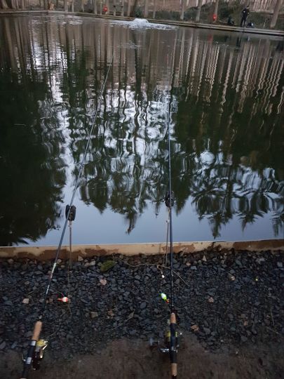 Angel-Oase Windhagen-2