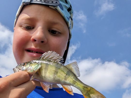 Birkenhof (Wuppertal)