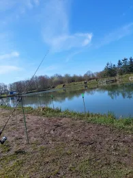 Forellensee Ahrenviöl