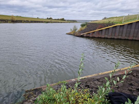 Elbe-Seitenkanal (Artlenburg)-1