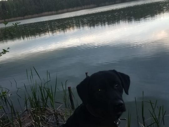 Steckelsdorfer See-1