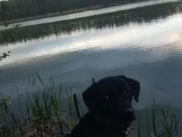 Steckelsdorfer See-1