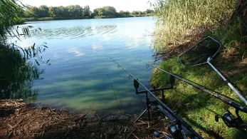 Tornower See (Dauer)