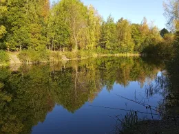 Bahndammteich (Burg/Dithmarschen)-1