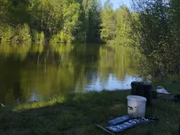 Bahndammteich (Burg/Dithmarschen)-2