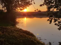 Alter u. Neuer Kolk (Neustadt)