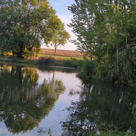 Stau Großenehrich