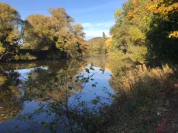 Alte Saar (Saarlouis)-1