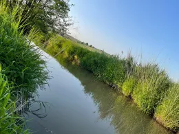 Reiche Ebrach (Mühlhausen)-1