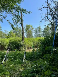 Reiche Ebrach (Mühlhausen)