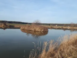 Beckenweiher (Hammerbach)