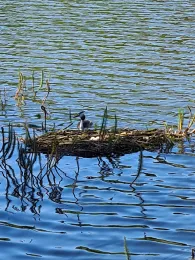 Kiesschacht Kroppenstedt