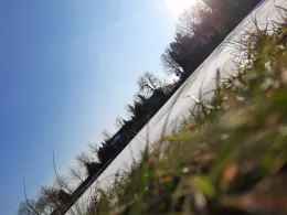 Dorfteich (Wahlsdorf)-2