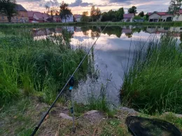 Dorfteich (Wahlsdorf)-3