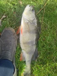 Dorfteich (Wahlsdorf)-1