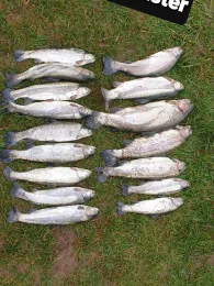 Angelpark Caster (Mechernich)-1