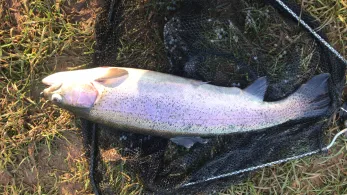 Angelpark Caster (Mechernich)-4