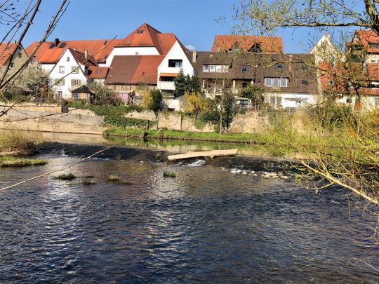 Enz (Besigheim)