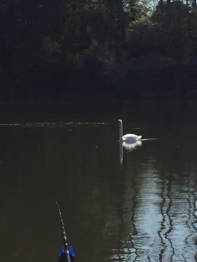 Talsperre Schwickershausen-4