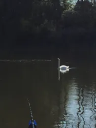 Talsperre Schwickershausen-4