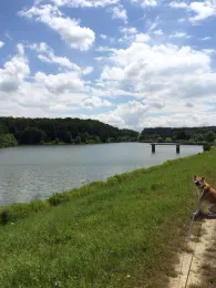 Talsperre Schwickershausen-1