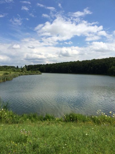 Talsperre Schwickershausen-2