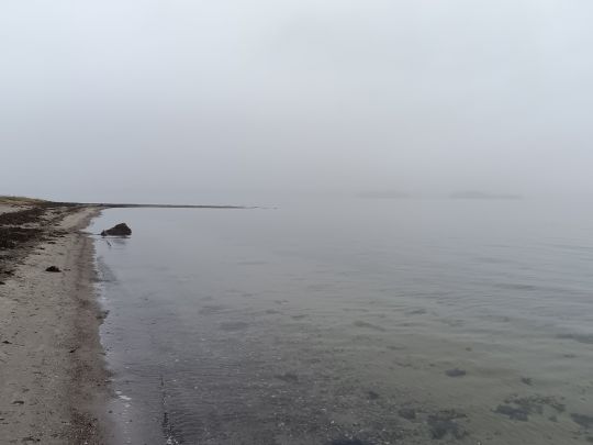 Flensburger Förde (Glücksburg)-1