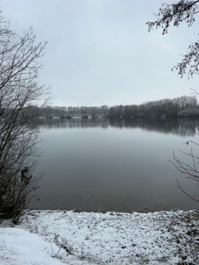 Handorf 1 (Peine)-1