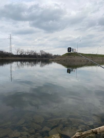 Mannheimer Altrhein / Bonadieshafen-1