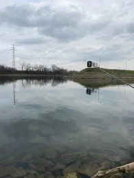 Mannheimer Altrhein / Bonadieshafen-1