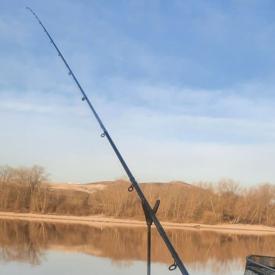 Mannheimer Altrhein / Bonadieshafen-4