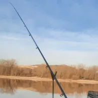 Mannheimer Altrhein / Bonadieshafen-4