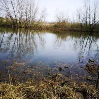 Mannheimer Altrhein / Bonadieshafen-2