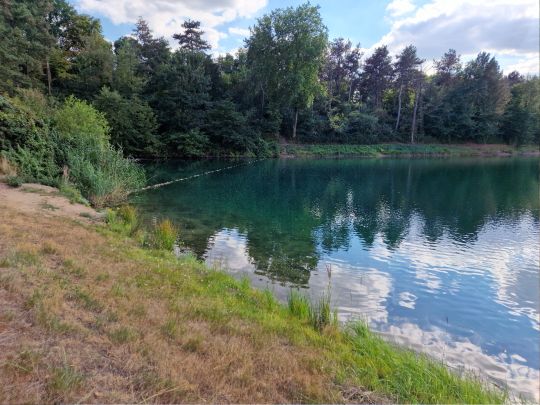 Autobahnweiher (Leverkusen-Manfort)-4