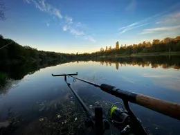 Autobahnweiher (Leverkusen-Manfort)-2