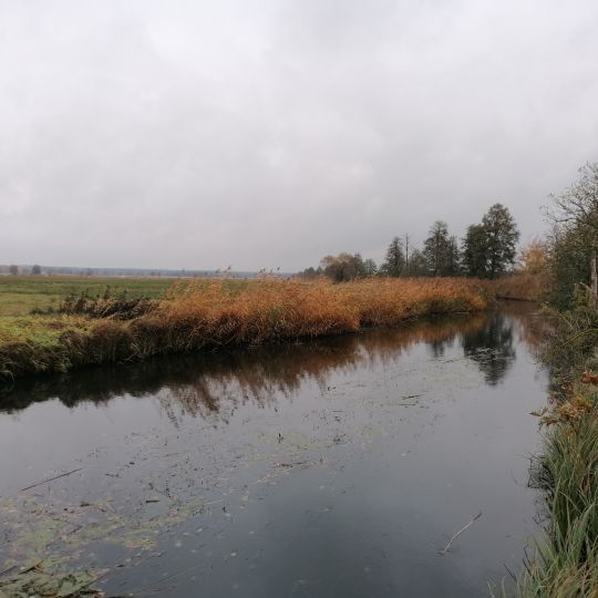 Nieplitz (Beelitz)-4