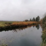 Nieplitz (Beelitz)-4