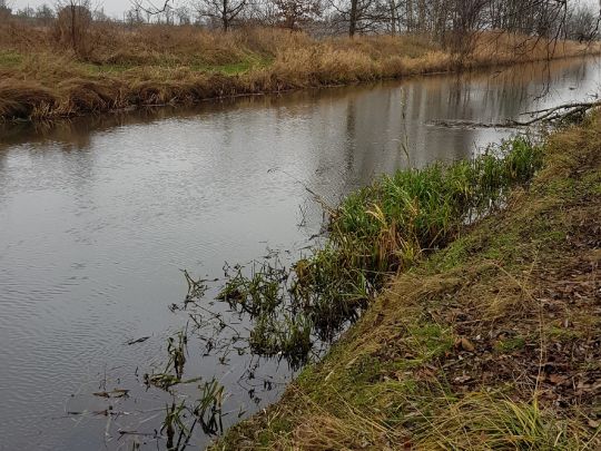 Nieplitz (Beelitz)-2