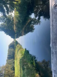 Nieplitz (Beelitz)-1