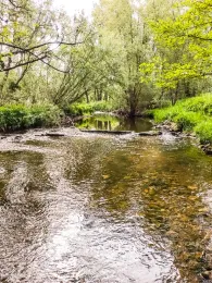 Hörsel (Wutha-Farnroda)