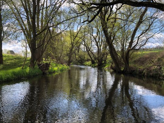 Hörsel (Wutha-Farnroda)-1