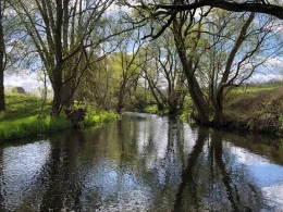 Hörsel (Wutha-Farnroda)-1