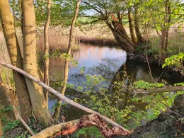 Mildenitz (Borkow)-3