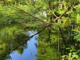 Mildenitz (Borkow)-4