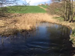 Mildenitz (Borkow)-1