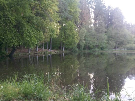Grünwiesenweiher