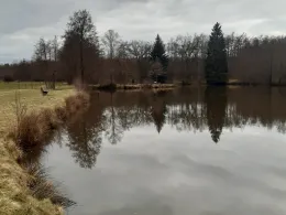 Vereinsgewässer ASV Elritze-1